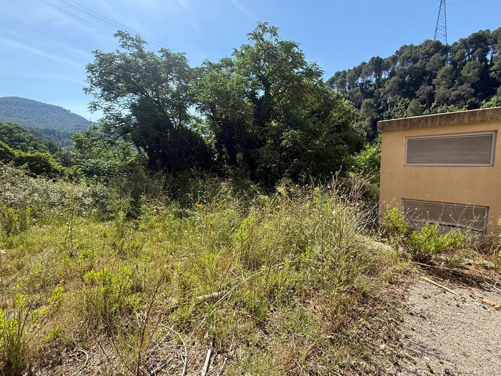 Limpieza y vallado perimetral de parcela en Castellbell i el Vilar